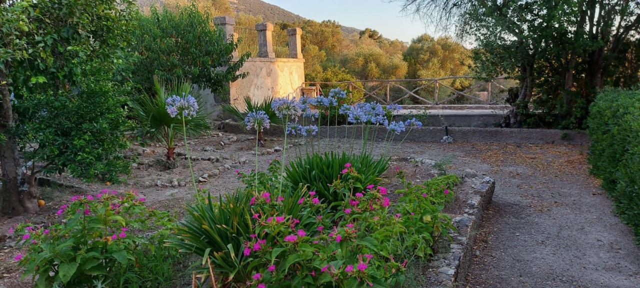 Casa Mallorca Ferienhaus